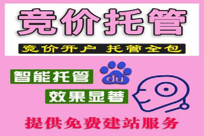 成本效益分析：百度推广月费案例